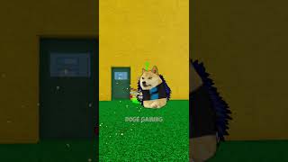 I HATE ZIOLES GAMBLING 😭 Doge Gaming [upl. by Alam681]