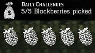 🍒 Blackberry Locations RDR2 Online Daily Challenge Location Guide Red Dead Redemption 2 Online [upl. by Nonnel51]