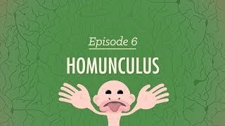 Homunculus Crash Course Psychology 6 [upl. by Nelav]