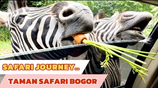 EXPLORE SAFARI JOURNEY 2024  TAMAN SAFARI TERBARU 2024 [upl. by Leeban368]