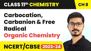 Carbocation Carbanion and Free Radical  Organic Chemistry  Class 11 Chemistry Chapter 8 [upl. by Seavir599]