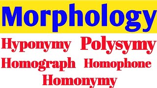 hyponymypolysymyhomonymyhomographhomophone [upl. by Bolen]