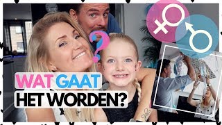 GENDER REVEAL Een jongen of een meisje  Vlog 204  Diesna Loomans [upl. by Ailis]