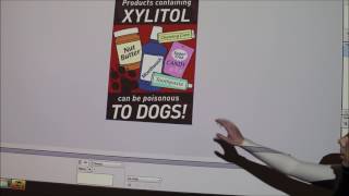 Lecture 6Principles of Toxicology and Antifreeze Chocolate Xylitol [upl. by Porush]