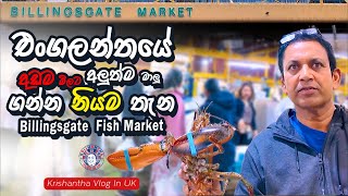 Krishantha Vlog In UKඑoගලන්තයේ අඩුම මිලට අලුත්ම මාලු Billingsgate Market [upl. by Meir]