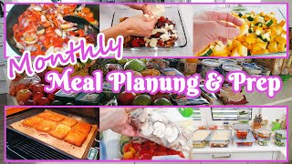 Monthly Meal Plan amp Prep [upl. by Tita]