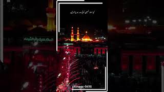 Ziart e Imam Hussain  ytshorts ytviral pioneer9416 [upl. by Annaerdna489]