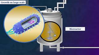 Recombinant DNA Technology  Animated Video [upl. by Atnuahsal]