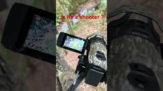 hunting realtree realtreeoutdoors gunculture edc selffilming trending hunting asmr shoot [upl. by Nevuer]