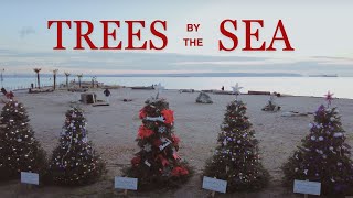 Christmas Trees By The Sea With Shepherds Pie  Perfection [upl. by Christean]