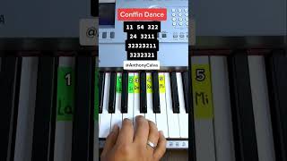 Coffin Dance PIANO TUTORIAL EASY Piano Fácil Con Números [upl. by Citarella]