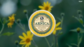 Harness the Potent Soothing Properties of Arnica 🌼 [upl. by Everest886]