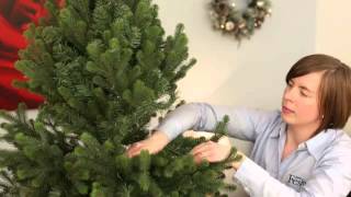 Assembling and shaping hinged Christmas Tree [upl. by Tybie]