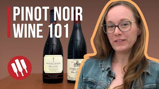 Pinot Noir Everything you need to know  Grapes 101 [upl. by Aisatana950]