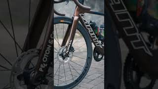 Giant Propel Advanced 2 [upl. by Yelac]