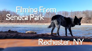 FILMING from Seneca Park  Winter is fading fast in Rochester NY [upl. by Sitarski]