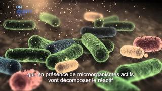 Biofinder Solution innovante pour la détection de biofilms et microorganismes [upl. by Curren]