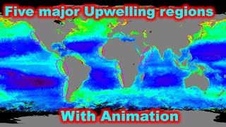 Ocean Upwelling regions in the world detailed explanation with Animation for UPSC [upl. by Crispa]