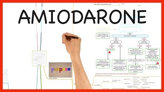 AMIODARONE PHARMACOLOGY SERIES [upl. by Joceline]