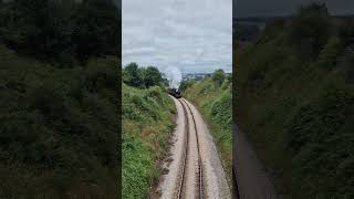 Paignton to Dartmouth steam train steamtrainpaignton [upl. by Lenahs]