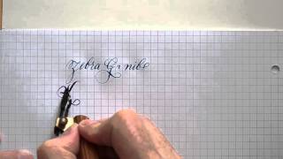 1 Zebra Gnib Brause Steno 361 nib writing [upl. by Odlanor]