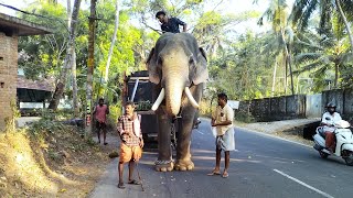 നന്ദിലത്ത് ഗോപാലകൃഷ്ണൻ  Nandilath Gopalakrishnan Entry  Elephant Entry  First Capture [upl. by Llig743]