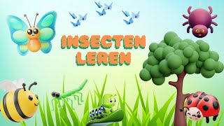 Ontdek de wereld van insecten🦋 Leer alles over insecten🐞Nederlands 🐌Peuters en Kleuters [upl. by Bogie]