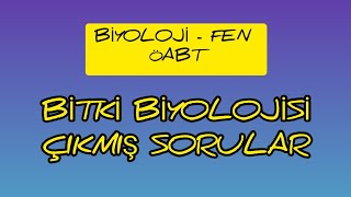 11 BİTKİ BİYOLOJİSİ ÇIKMIŞ SORULAR  FENBİYOLOJİ ÖABT [upl. by Gerger]