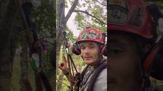 Arborist Sets Up Floating Anchor arborist treework treeclimber treeclimbing climbingequipment [upl. by Daugherty]