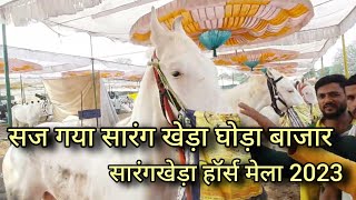 व्यापारियों के बेहतरीन घोड़े  sarangkheda horse mela 2023  chetak festival sarangkheda 2023 [upl. by Raimund17]