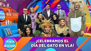 ¡Celebramos el Día del Gato en VLA  Programa 8 agosto 2024 PARTE 1  Venga La Alegría [upl. by Adien332]