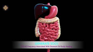 110 HZ  Healing Frequency for Stomach  Pancreas  Spleen  Liver  Galibladder  Digestive System [upl. by Bronson]