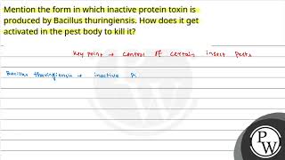 Mention the form in which inactive protein toxin is produced by Bacillus thuringiensis How does [upl. by Angadresma255]