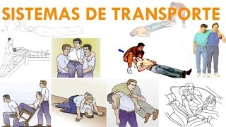 SISTEMAS DE TRANSPORTE [upl. by Dera967]