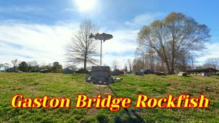 Gaston Bridge Rockfish Roanoke River Stripers Top Water Striper fishing Rockfish Capital [upl. by Rather]