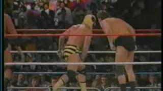 Superstars Of Wrestling January 17 1987 part 5 [upl. by Phaidra]