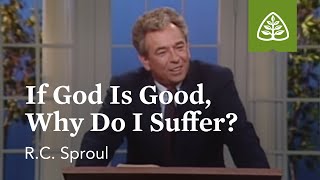 If God Is Good Why Do I Suffer The Classic Collection with RC Sproul [upl. by Egin]