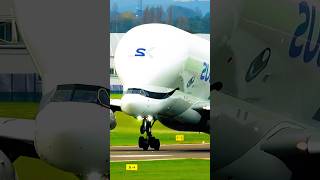 Airline live fast shorts YouTubeshorts [upl. by Krueger953]