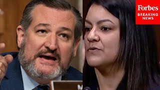 EPIC RANT Ted Cruz Unleashes On Biden Nominees Who Cant Even Answer Basic Constitutional Questions [upl. by Annawat969]