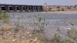 Chagallu Reservoir gates opening first time in the Dam History [upl. by Bringhurst]