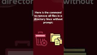 Remove All Files in Directory Linux Without Prompt delete all files without prompt terminal [upl. by Weikert]