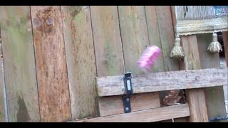 TestFiring My Old Pellet Pistol [upl. by Steffin]