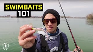 Paddle Tail Swimbait Fishing Tips To Catch More Fish All Year [upl. by Lalib]