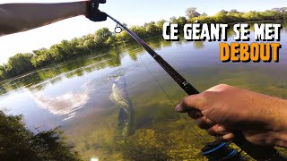 Pêche SILURE  ce GEANT se met DEBOUT [upl. by Grados]