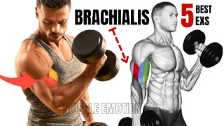 5 BEST BRACHIALIS WORKOUT AT GYM TO GET BIGGER ARMS FAST [upl. by Kaazi]