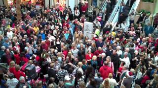 Hallelujah Chorus  Flashmob at Westfield Town Center Mall Valencia CA [upl. by Kihtrak]