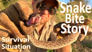 My Rattlesnake Bite Story Venomous Encounter and Experience [upl. by Auka]