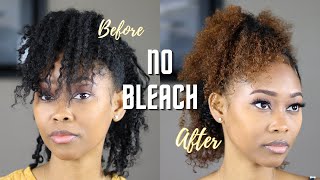 How I Dye My Natural Hair With No Bleach  Clairol Review [upl. by Stevena]