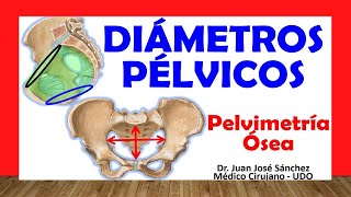 🥇 DIÁMETROS PÉLVICOS Pelvimetría Ósea PELVIS OBSTÉTRICA Fácil y Sencilla [upl. by Euqnomod]