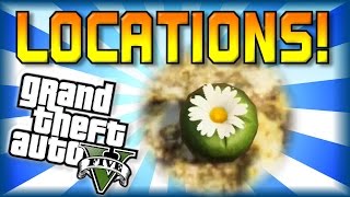 GTA 5  Peyote Plant Locations 0427 [upl. by Nurav]